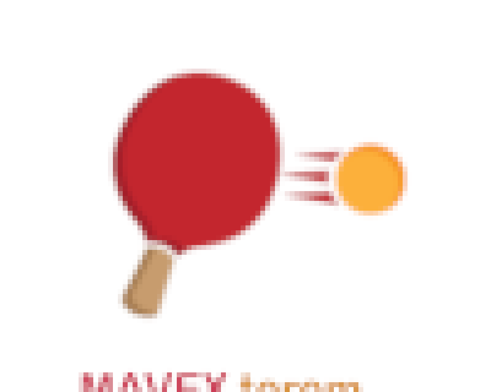 MAVEX terem